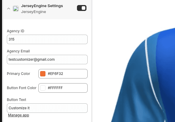 Enter them in the app embed - screenshot 2